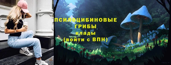 марихуана Заводоуковск