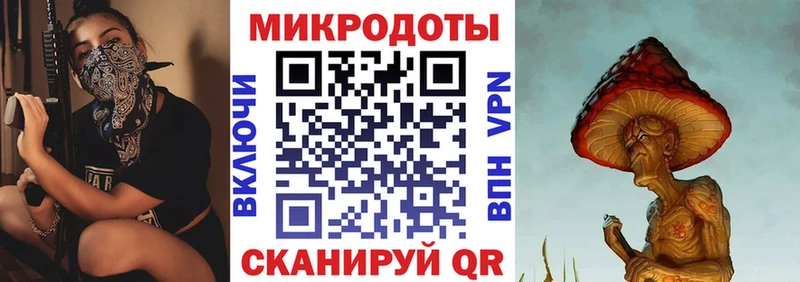 Купить где Зеленоградск Псилоцибиновые грибы Psilocybe
